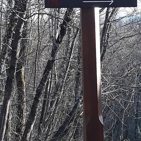 Tijan קסטב