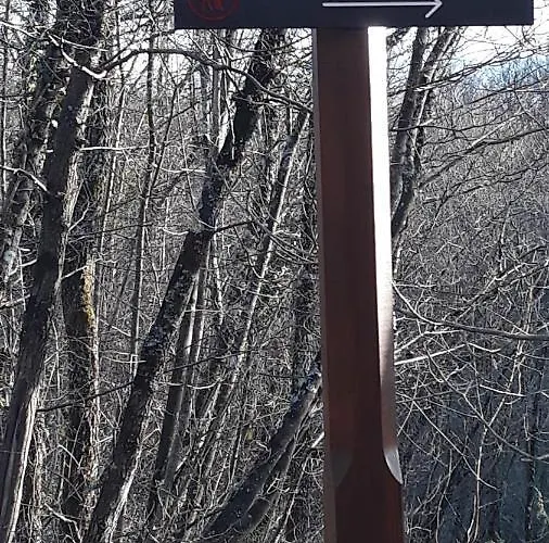 Tijan Kastav